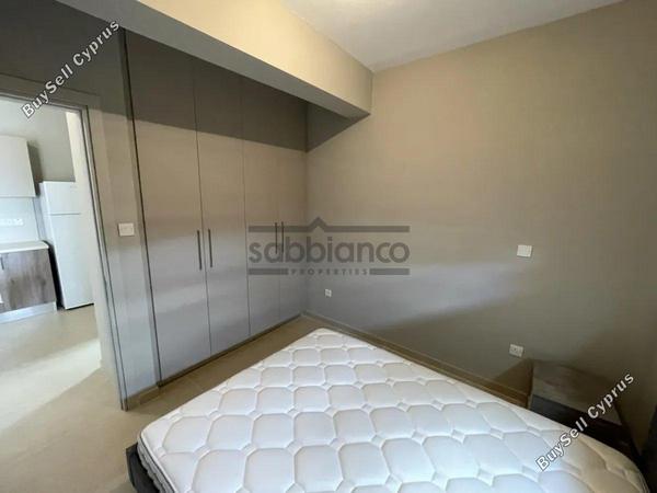 1 bedroom apartment for rent aglantzia nicosia 8748602 image 16466835