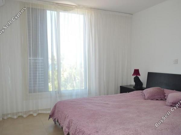 3 bedroom detached house for sale latsi paphos 1455602 image 12369722
