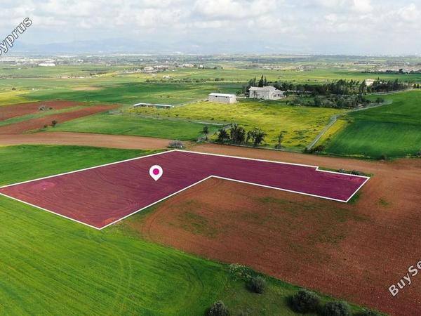 land for sale agioi trimithias nicosia 8629602 image 15869156