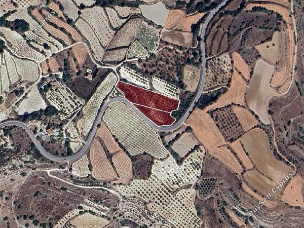 land for sale letymvou paphos 7703602 image 15596668