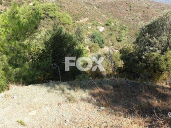 land for sale sanida limassol 1146602 image 5519964