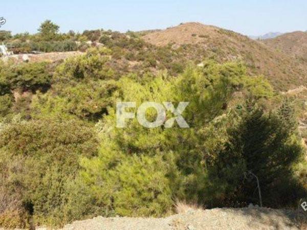 land for sale sanida limassol 1146602 image 5519966