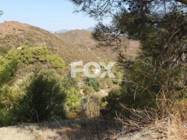 land for sale sanida limassol 1146602 image 5519968