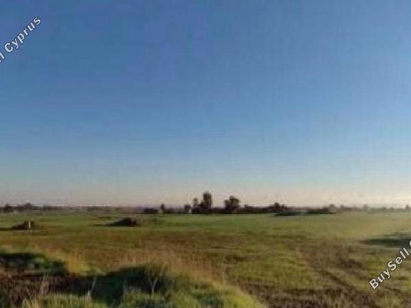 land for sale xylofagou larnaca 8140602 image 13957536
