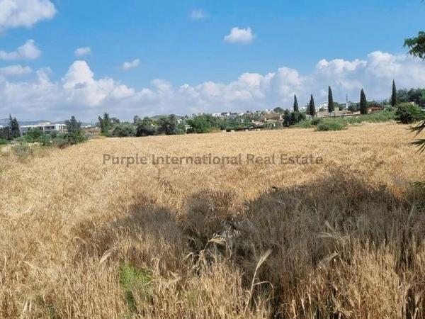 land for sale kannaviou paphos 7543702 image 14088681