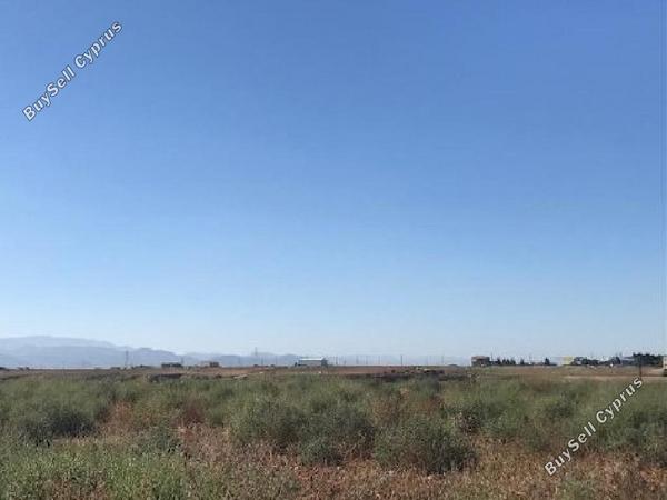 land for sale palaiometocho nicosia 8406702 image 14885246
