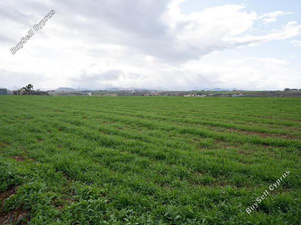 land for sale palaiometocho nicosia 8406702 image 14885250