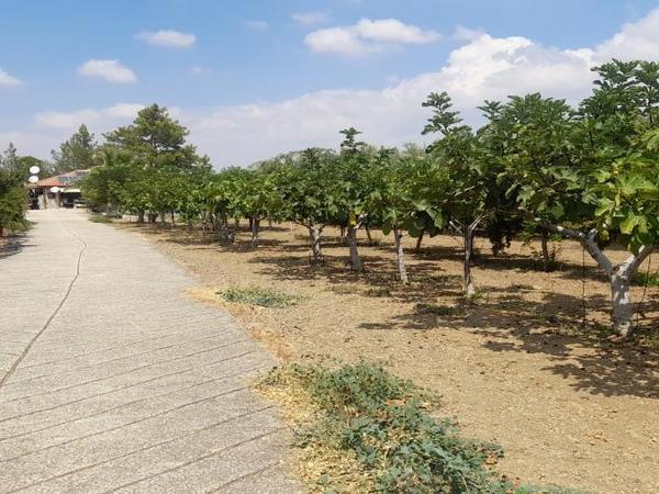 land for sale klirou nicosia 1511802 image 16168517