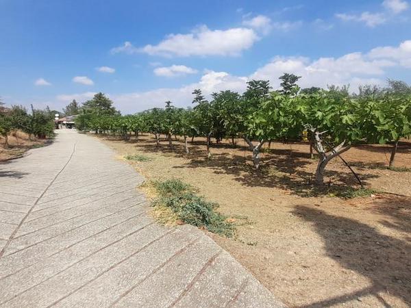 land for sale klirou nicosia 1511802 image 16168518