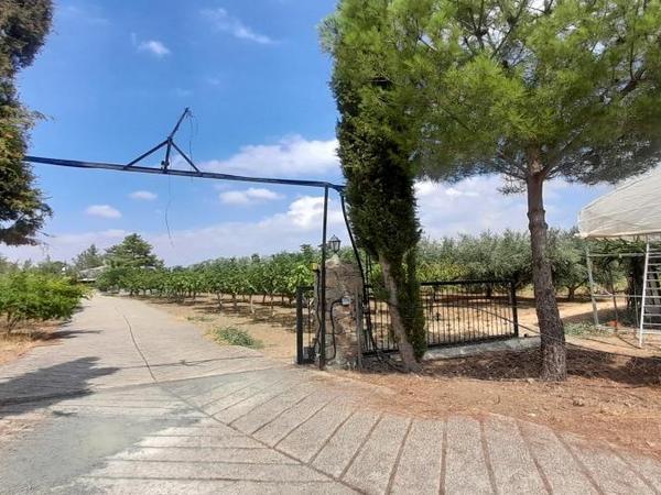land for sale klirou nicosia 1511802 image 16168520