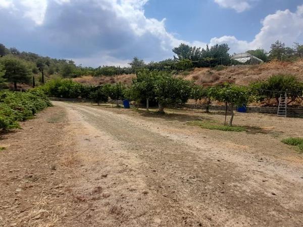 land for sale klirou nicosia 1511802 image 16168523