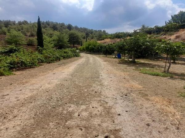 land for sale klirou nicosia 1511802 image 16168525