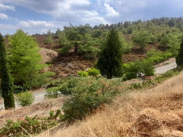 land for sale klirou nicosia 1511802 image 16168526