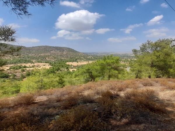land for sale klirou nicosia 1511802 image 16168537