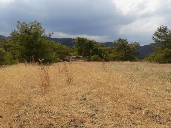 land for sale klirou nicosia 1511802 image 16168538