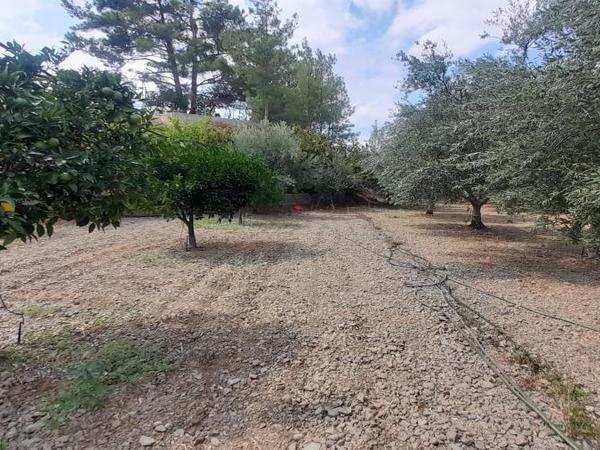 land for sale klirou nicosia 1511802 image 16168556