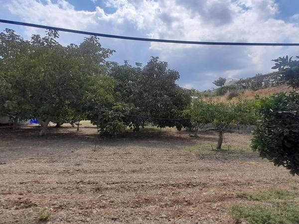 land for sale klirou nicosia 1511802 image 16168557