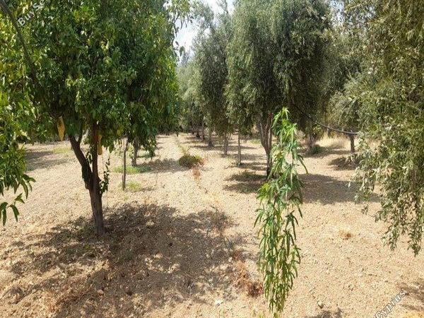 land for sale klirou nicosia 1511802 image 16168558