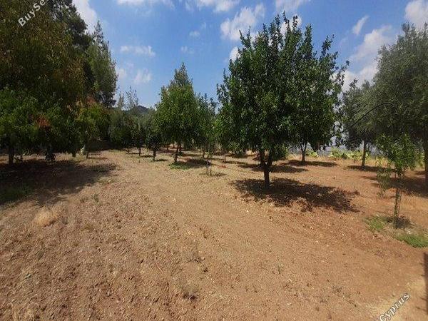 land for sale klirou nicosia 1511802 image 16168559