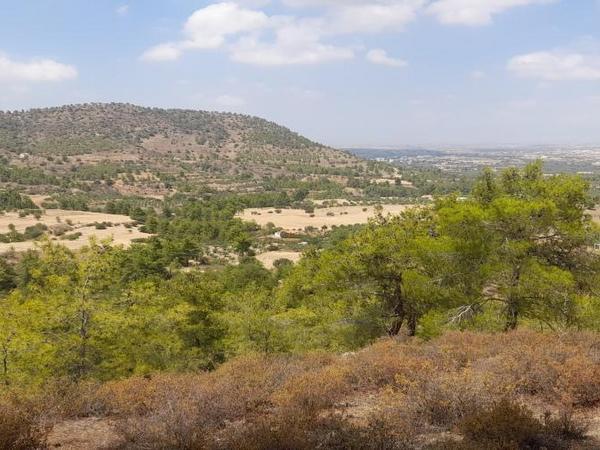 land for sale klirou nicosia 1511802 image 16168570