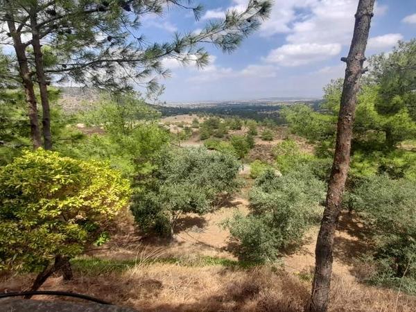 land for sale klirou nicosia 1511802 image 16168616