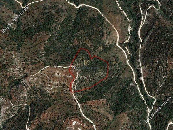 plot for sale dora limassol 1194802 image 5570756