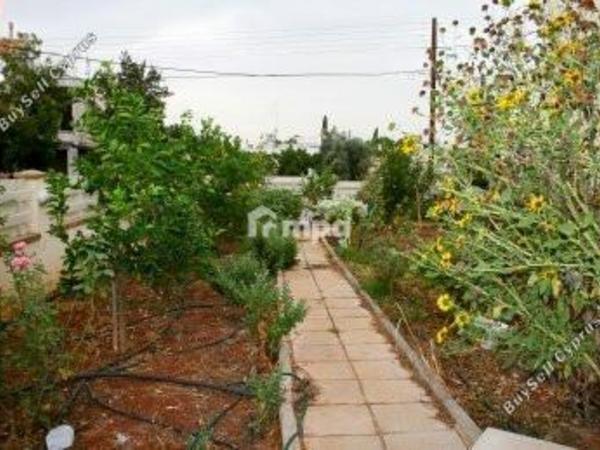7 bedroom detached house for sale kato lakatamia nicosia 1727902 image 5497509