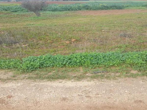 land for sale akaki nicosia 1890902 image 16162275