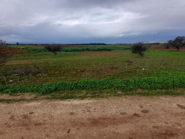 land for sale akaki nicosia 1890902 image 16162276