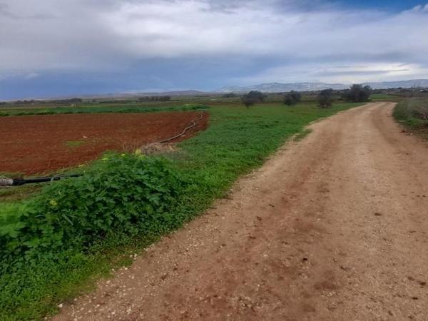 land for sale akaki nicosia 1890902 image 16162277