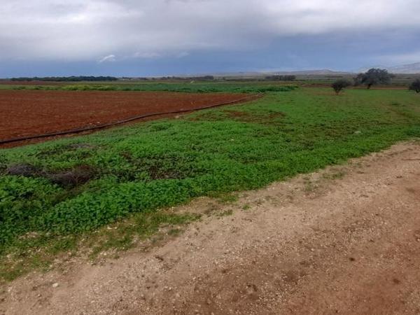 land for sale akaki nicosia 1890902 image 16162278