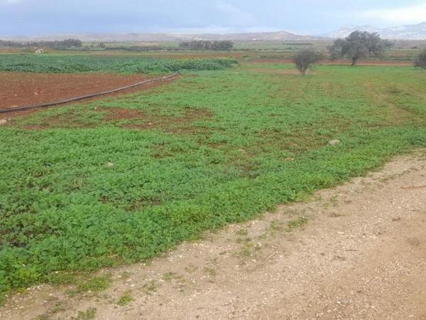 land for sale akaki nicosia 1890902 image 16162279