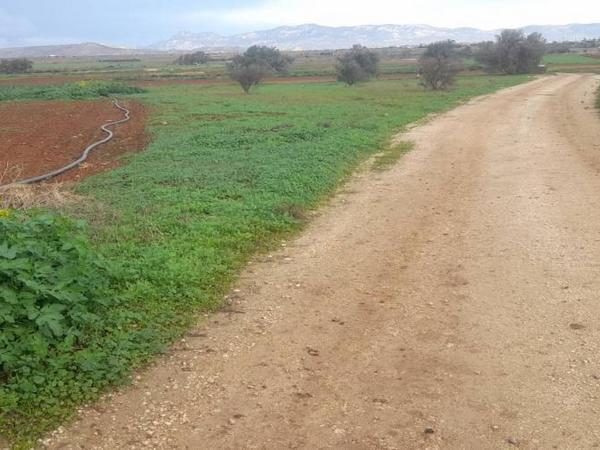 land for sale akaki nicosia 1890902 image 16162280