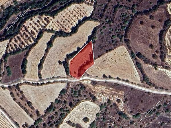 land for sale lemona paphos 8433902 image 15594916