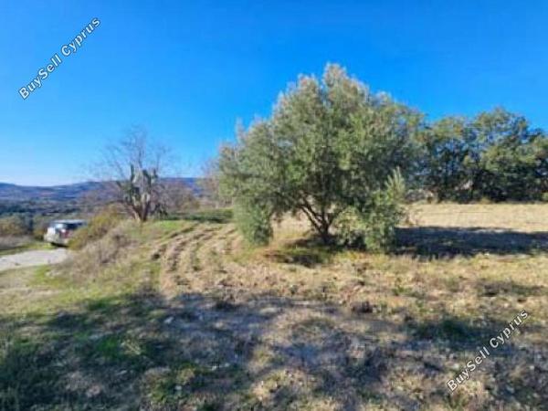 land for sale lemona paphos 8433902 image 15594918
