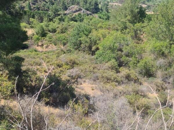 land for sale mandria lemesou limassol 938902 image 835040