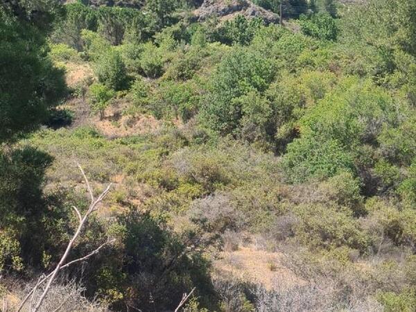 land for sale mandria lemesou limassol 938902 image 835041