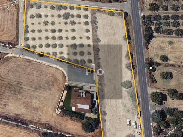 land for sale pera orinis nicosia 8145902 image 15151818