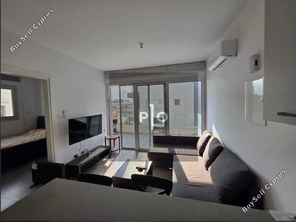 1 bedroom apartment for rent aglantzia nicosia 8608012 image 16425209