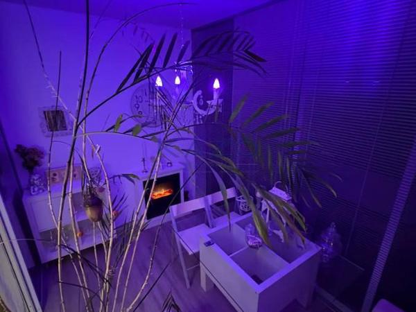 2 bedroom apartment for rent tsirion limassol 8495112 image 15402693