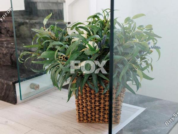 6 bedroom detached house for sale germasogeia limassol 8521112 image 16022382
