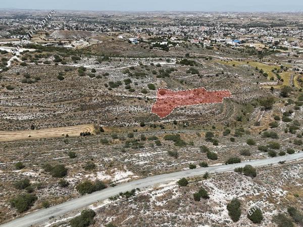 land for sale dali nicosia 1369112 image 2998164
