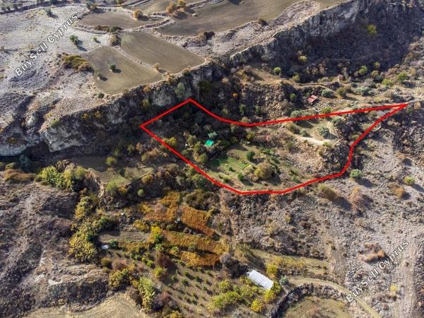 land for sale lasa paphos 1898112 image 14211958