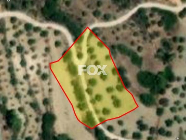 land for sale lysos paphos 1270112 image 5540029