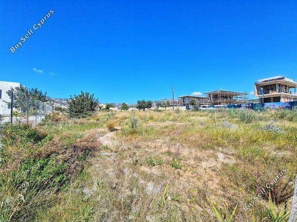 land for sale peyia paphos 1076112 image 1255619