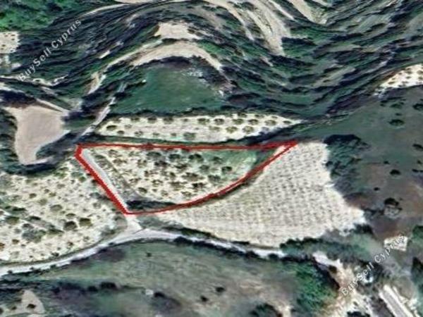 plot for sale koili paphos 1804112 image 6127116