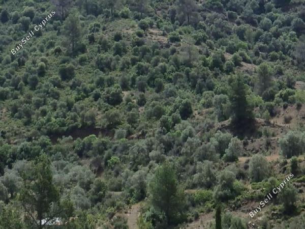 land for sale lythrodontas nicosia 1674212 image 4323936