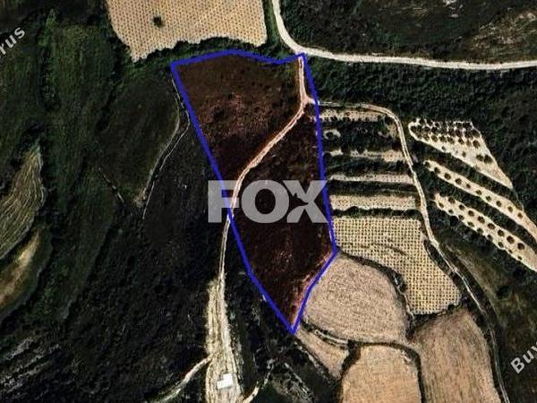 land for sale kathikas paphos 1301312 image 5588859