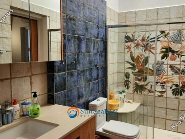 4 bedroom bungalow for sale tala paphos 8529412 image 15454345
