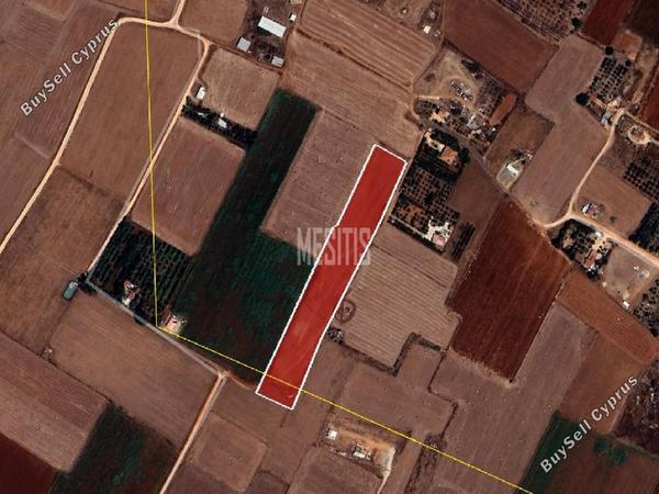 land for sale avgorou famagusta 8772412 image 16599206